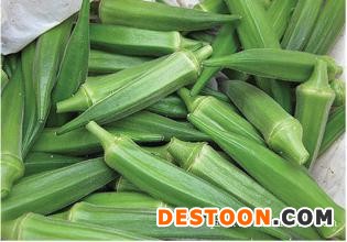 江西黄秋葵种植基地供应炸黄秋葵到本地各大饭店