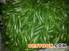 保健有机蔬菜供应商/杭州黄秋葵基地大量批发