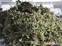 小产量花椒烘干烤箱多少钱-河南国信机械-花椒烘干烤箱多少钱