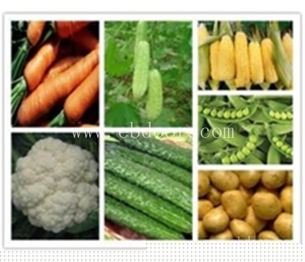 生鲜蔬菜配送服务-坪山生鲜蔬菜配送-东莞市祥茂膳食管理