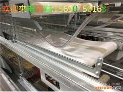 养鸡设备中州牧业    定制单层、小层叠、阶梯蛋鸡笼