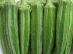 无公害绿色健康食品黄秋葵