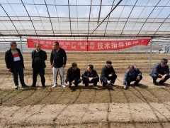 鹤壁市农科院：加强辣椒苗期管理  努力产业脱贫攻坚 -宝鸡鹤壁市农业农村局