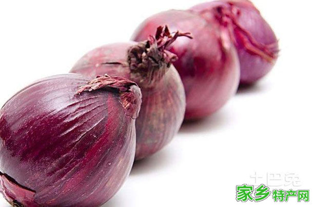 银北大葱头 -宁夏石嘴山市特产