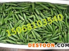 杭州黄秋葵/黄秋葵基地直销