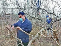有序开展春季田间管理