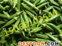 江苏黄秋葵/黄秋葵批发零售