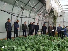 平凉市农业农村局开展春节前农产品质量安全督导检查