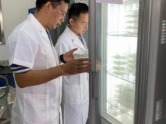 我站对今年夏秋季抽查种子样品开展室内检验