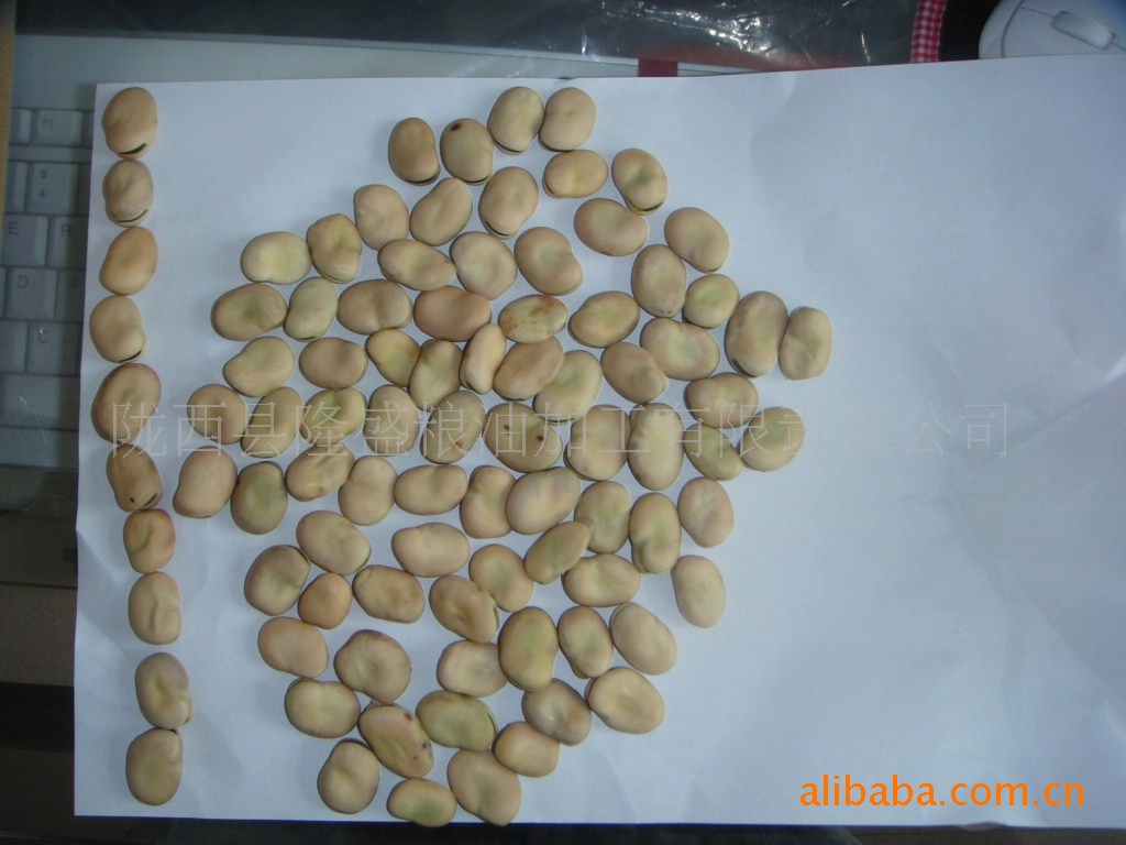 12年新蚕豆以上市