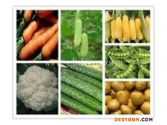 祥茂膳食管理公司-大朗蔬菜配送