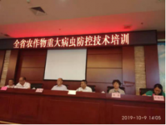 全省农作物重大病虫防控技术培训班暨2019年农药使用量零（负）增长宣传月活动在韶关仁化举行