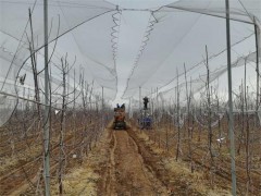 合阳：打好疫情防控与园区复工复产组合拳