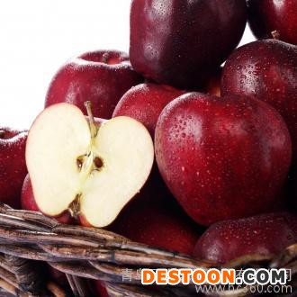供应青岛进口红蛇果不一样的苹果