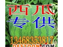 发布今日芸豆价格 分析最新芸豆价格走势