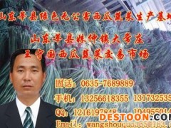 大量供应长豆角、西葫芦‘冬瓜、辨芸豆、韭菜圣女果