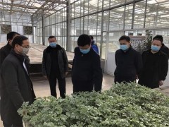 延川：一同来听！延川春季农业消费义务怎样做？