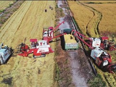 秋收-南通泰州市人民政府