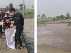 3分钟一亩！什邡晋中市展开初次无人机水稻直播作业