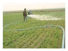 鹤壁市农科院:促控结合 早管麦田 -宝鸡鹤壁市农业农村局