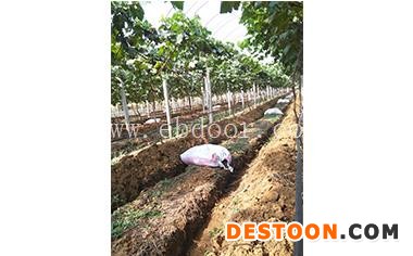 江岸蔬菜,蔬菜基地,华希生态(优质商家)