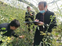 府谷县：夯实监管责任 规范行业管理