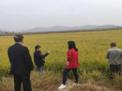 九江农业信息网,彭泽县积极展开农业消费社会化效劳项目施行状况验收