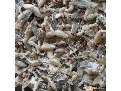 供应霖荫牛蛙07  大量冷冻牛蛙仔  特种养殖产品 冷冻水产品