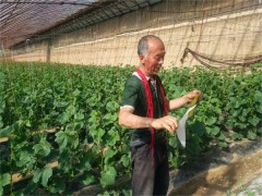 延川：疫情防控、春季消费“两不误”