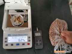 MS-G榛子仁水分测定仪,榛子水分检测仪