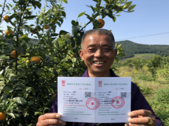 旌阳区出具首张“旌耘”区域性公共品牌食用农产品合格证