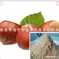 榛子粉 宁夏野核桃粉 山板栗纯粉  榛子速溶粉 榛子提取物 厂家现货