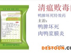 鸭脾坏死用什么特效药可以彻底治好