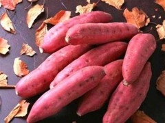 红姑娘薯 - 防城港特产