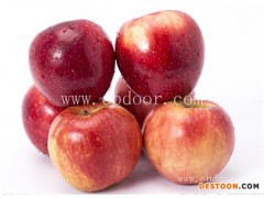 南京食品配送-万色星辰食品配送公司-冷鲜食品配送