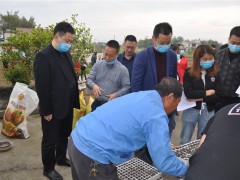 泸县召开2020年酿酒公用高粱消费基地与农业园区树立义务会