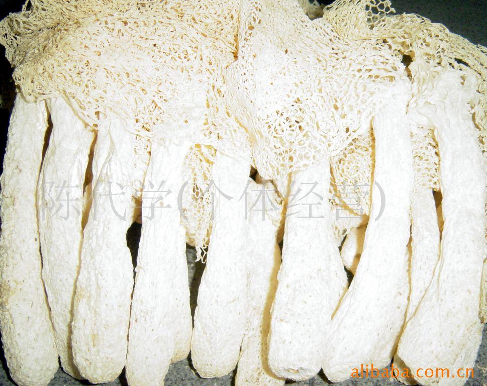 供应竹荪,竹参,食用菌