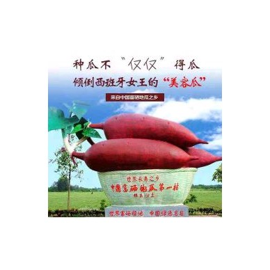 [供]富硒地瓜，