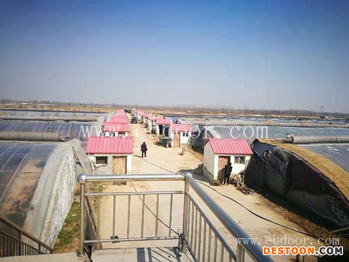 西红柿批发价格-联富果蔬(在线咨询)-许昌西红柿批发