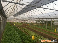 天津蔬菜种植-萱庭果蔬