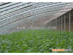 山东保温被-田润蔬菜批发冬枣-山东保温被销售