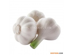 红谷滩新区南昌大学食材配送生产基地