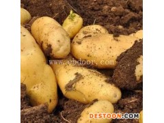 南昌食材配送公司制度承诺守信「在线咨询」