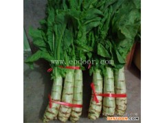 山东温室保温被厂家-南通温室保温被厂家- 田润温室大棚建造