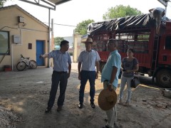 湖州市农业农村局副局长许建红赴吴兴区指导灾后防疫消毒灭源工作