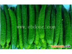 渭南黄瓜-黄瓜汁-田润蔬菜批发(推荐商家)