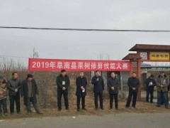 阜南县2019年果树修剪技能大赛成功举办