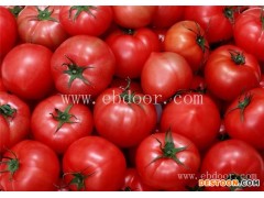 蕃茄批发多少钱一斤-联富果蔬(在线咨询)-太原蕃茄批发