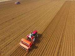 小麦​泥浆肥料拌种及收获的办法