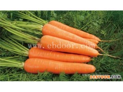 酒店食材配送市场前景如何